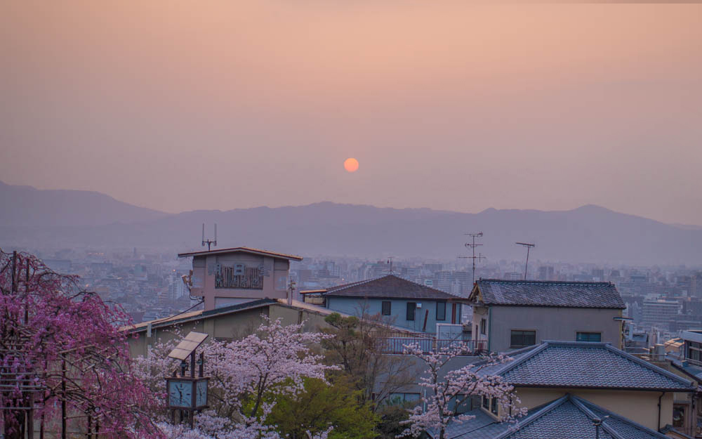 Magical Sakura Days in Kyoto, Japan
