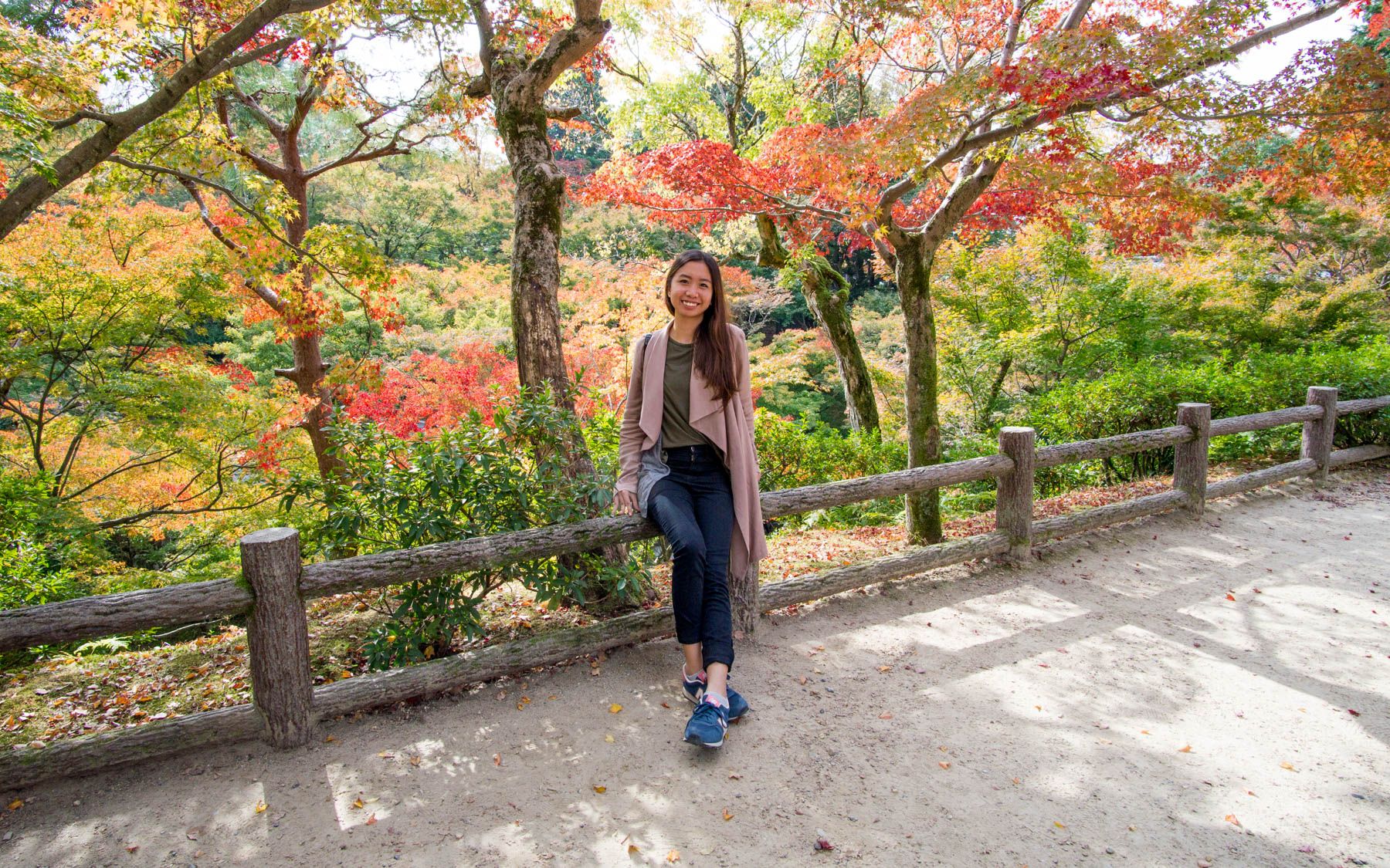 6 Days in Japan Itinerary: Kyoto and Tokyo on a Budget of 600 USD (29, 500 PHP)